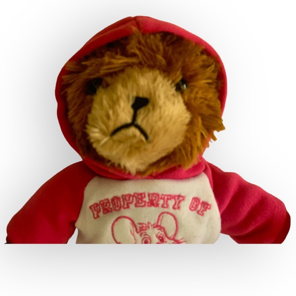 Chuck E Cheese Teddy Bear - Picture 4 of 6